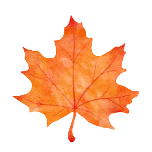 Fall foliage: Watercolor painting of a vibrant orange maple leaf against a black backdrop, symbolizing the autumn season.
